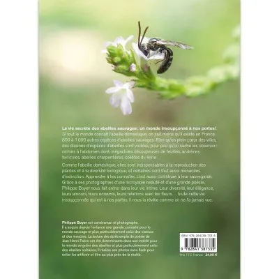 Abeilles sauvages