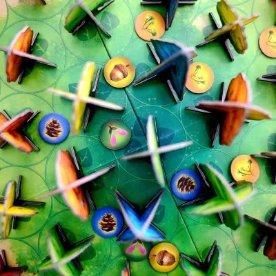Photosynthesis – jeu de société