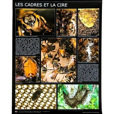 Affiche thématique “cadres et cire”
