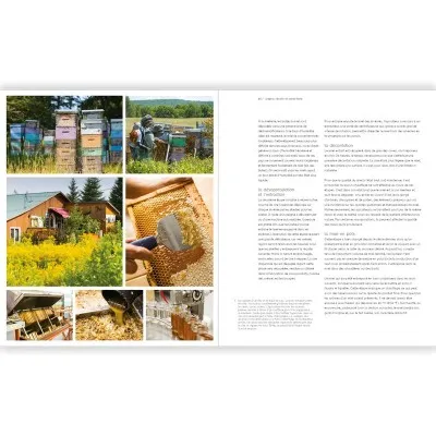 Le miel – L’art des abeilles, l’or de la ruche