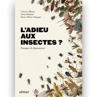 L’adieu aux insectes ?