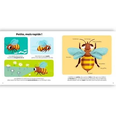 Les abeilles – Ma baby encyclopédie