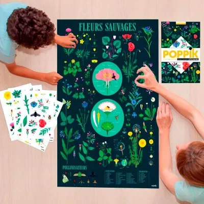 Poster pédagogique BOTANIQUE + 72 stickers