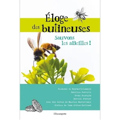 Eloge des butineuses : sauvons les abeilles !