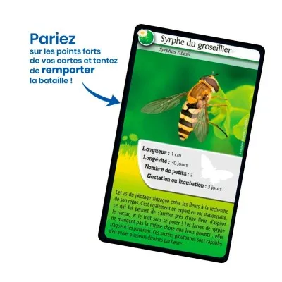 Carte du défis nature Abeilles et autres pollinisateurs Carte du défis nature Abeilles et autres pollinisateurs
