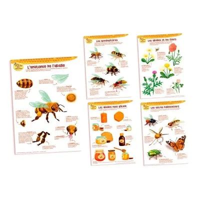 Kit de 5 posters pédagogiques - La ruche des abeilles