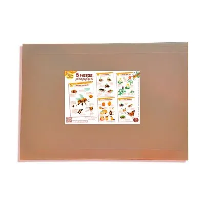 Kit de 5 posters pédagogiques - La ruche des abeilles