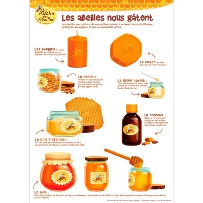 Kit de 5 posters pédagogiques - La ruche des abeilles