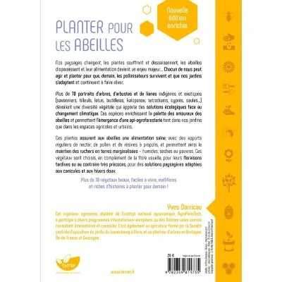 Planter des arbres pour les abeilles : l'api-foresterie adaptée aux espaces et aux enjeux d'aujourd'hui