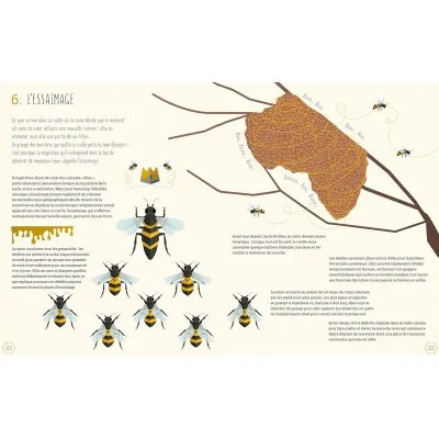 Extrait "L'essaimage" du livre "Le monde des abeilles"