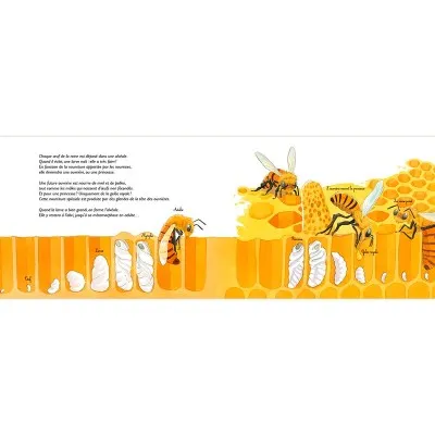 Extrait du livre "Au royaume des abeilles : apidologie"