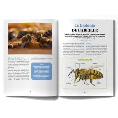 Extrait du livre "J'installe une ruche dans mon jardin"