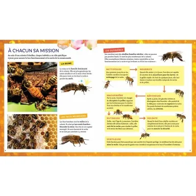 Extrait du livre "Pas si bête : l'abeille à miel"