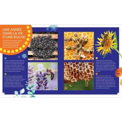 Extrait du livre "Pas si bête : l'abeille à miel"