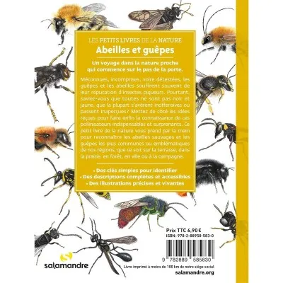 Quatrième de couverture du livre "Abeilles et guêpes"