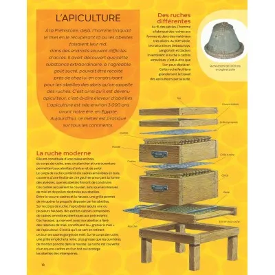 Extrait du livre "Les abeilles - la grande imagerie"