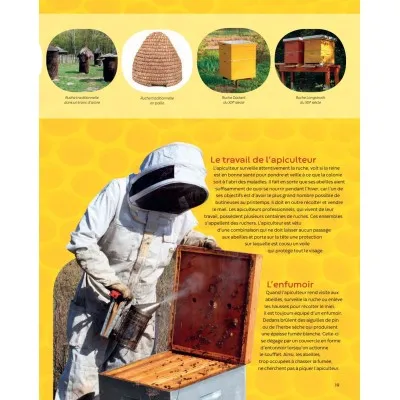 Extrait du livre "Les abeilles - la grande imagerie"
