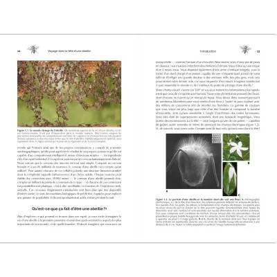 Pages intérieures du livre Voyage dans la tête d'une abeille – cognition, mémoire et navigation chez les pollinisateurs