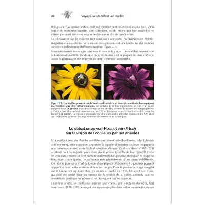 Extrait du livre de Lars Chittka – exploration du cerveau des abeilles et de leur comportement complexe