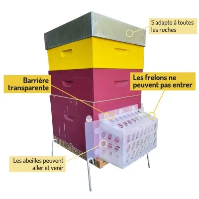 Stop It Max sur ruche : double paroi protectrice, accès libre des abeilles, réduction du stress en période de forte prédation.