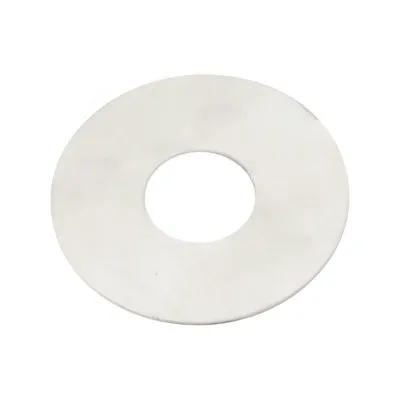 Disque inox Ø54 mm (1 mm d’épaisseur ) pour coupe-goutte Dana api MATIC