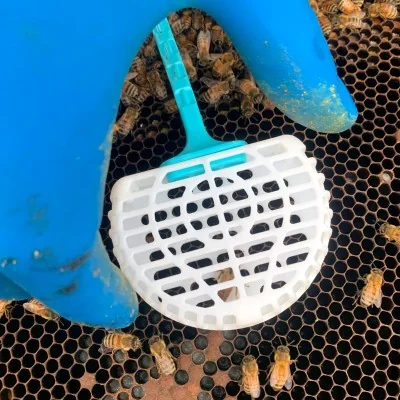Cage de blocage de ponte Mini MeGa fixée sur rayon de couvain