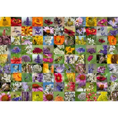 Illustration complète du puzzle 99 abeilles Ravensburger avec 99 photographies d’abeilles et de fleurs