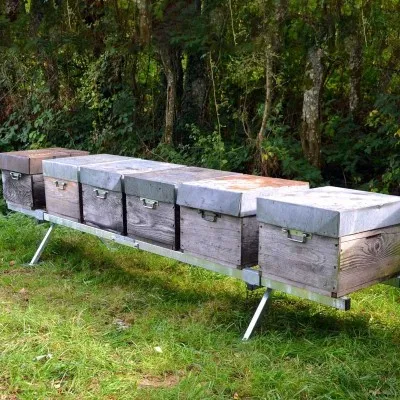 Support pour 6 ruches