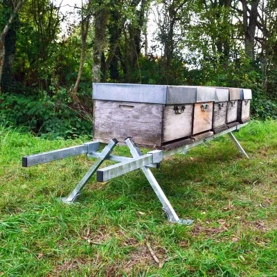 Support pour 6 ruches