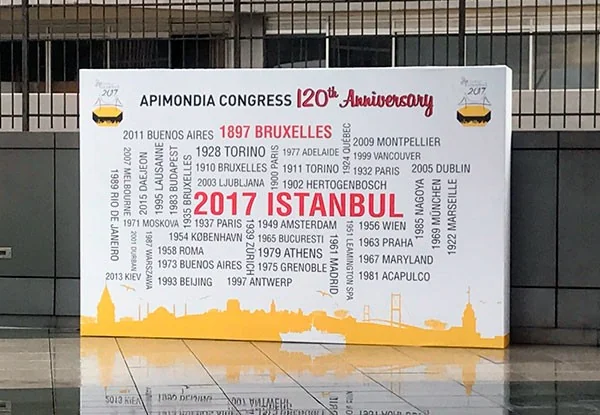 APIMONDIA 2017