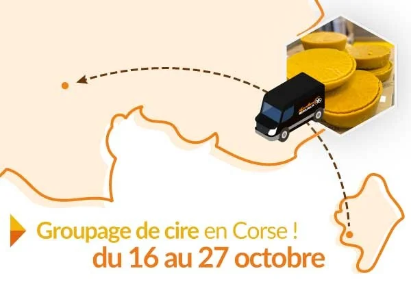 Groupage de cire en Corse