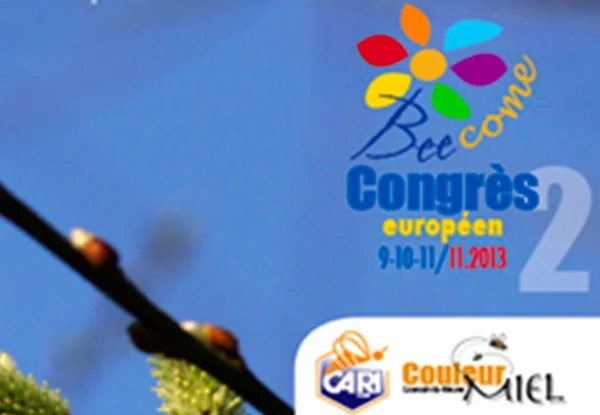 Beecome 2013