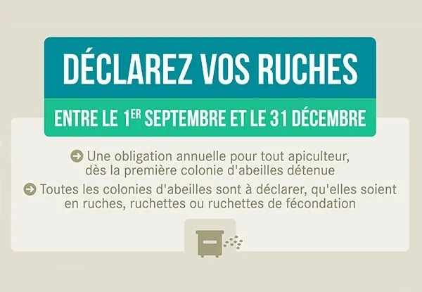 Pensez à votre déclaration de ruches 2020