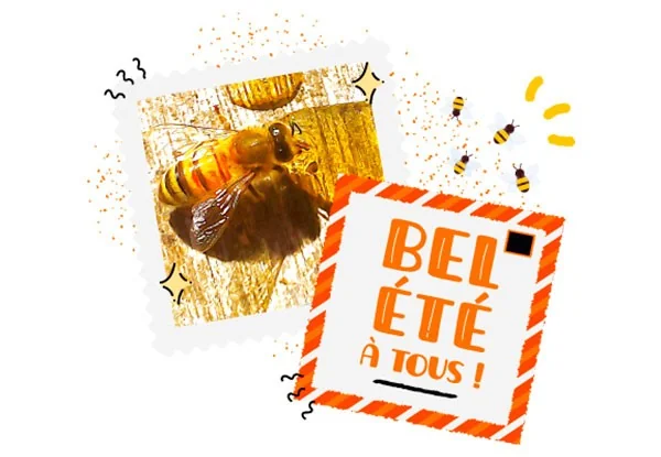 Fermeture estivale 2020